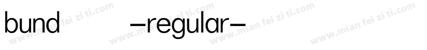 bund8 1-regular字体转换